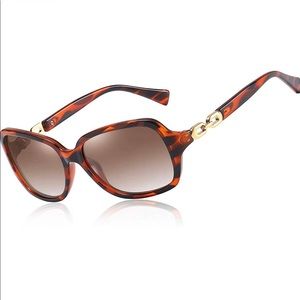 Brown Sunglasses